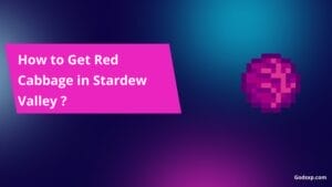 Get Red Cabbage in Stardew Valley
