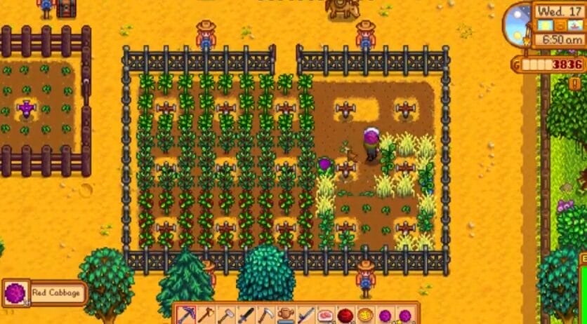 How to Get Red Cabbage in Stardew Valley